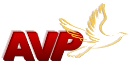 AVP/USA ANNUAL GATHERING 2011